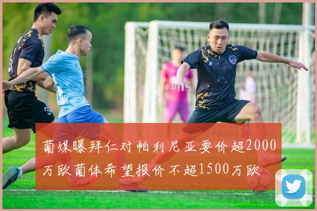 葡媒曝拜仁对帕利尼亚要价超2000万欧葡体希望报价不超1500万欧