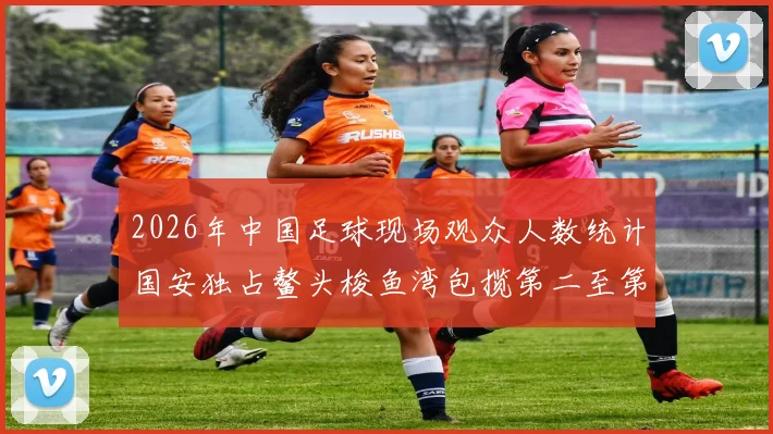 2026年中国足球现场观众人数统计国安独占鳌头梭鱼湾包揽第二至第七位